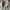 SweatPants Xerobnr Grey photo 4