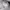 HODIE GAP GREY  photo 5