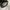 Tory burch Kira Chevron Convertible Shoulder photo 4
