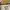 BOY London Streetwear Minimalist Crossbody Bag Wanita khaki cream yellow photo 5