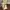 BOY London Streetwear Minimalist Crossbody Bag Wanita khaki cream yellow photo 7