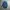 ADIDAS ORIGINALS CHAMBRAY photo 6