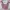 Streetwear Minimalist Crop Top Wanita Pink