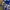France 98 Knit – Reworked Adidas Blanket  photo 5