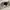 Jacket winter revesible X sherpa WHo AU california like new photo 5