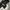 Jacket Winter Revesible X Sherpa WHo AU California Like New