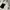 Jacket winter revesible X sherpa WHo AU california like new photo 4