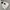 Jacket winter revesible X sherpa WHo AU california like new photo 3