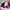Rapido Vintage Windbreaker Jacket photo 8