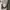Luxury Avant Garde Going out dress Wanita silver black photo 3