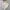 Jacket Winter Parka Corduroy X Puffer  Revesible Regem Bogen