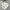 Jacket winter parka corduroy X puffer  revesible regem bogen photo 9
