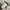 Jacket winter parka corduroy X puffer  revesible regem bogen photo 7