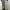 Uniqlo | Chinos| Relaxed | Ankle | Casual Pants | Work Pants photo 2
