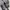 BLUNDSTONE Sise 44 Thermal Nubuck Boots Made in Vietnam photo 1