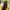 BLUNDSTONE Sise 44 Thermal Nubuck Boots Made in Vietnam photo 4