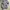 knit lidi pressbody photo 1