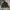 The North Face Gorpcore Puffer Jacket Pria White Black