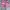 H&m short jeans celana pendek pink photo 1