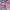 H&m Short Jeans Celana Pendek Pink