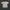 T-shirt Ben Davis