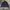 Gorpcore Puffer Jacket Pria Navy