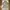 VTG Crocodile Casual Work Jacket Tan photo 2