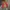 Blackyak Gorpcore Puffer jacket Wanita tan red brown photo 1
