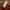 Blackyak Gorpcore Puffer jacket Wanita tan red brown photo 7