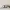Adidas BW Army GATs not Margiela photo 3
