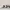 Adidas BW Army GATs not Margiela photo 4