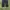 Baggy pants photo 3