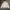 Spao Gorpcore Puffer Jacket Wanita Cream
