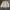 Spao Gorpcore Puffer jacket Wanita cream photo 3