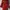🧥 SWEET SOUP (Korean Brand) Red Trench Coat (Fit M)