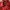 🧥 SWEET SOUP (Korean brand) Red Trench Coat (Fit M) photo 3