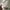 Top guess photo 4