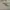 Top guess photo 2
