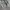 Work Jacket Kanvas GAP light Grey photo 3