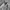 Work Jacket Kanvas GAP light Grey photo 2