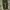 Casual Biker Casual Pants Pria Green