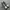 nike jordan photo 3
