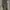 Pull & Bear Casual Biker Casual Pants Pria Green