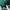 LOUIS VUITTON TRAINER MAXI SNEAKERS WHITE GREEN , LOUIS VUIT photo 8