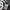 DC Shoes Long Sleeve  photo 5