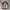 Streetwear Sportswear Track jacket Pria burgundy gray photo 2