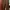 Brown pants photo 1