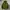 Zipper Hoodie Nike Tech Fleece