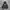 HOODIE RAIDERS NEW ERA photo 1