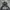 HOODIE RAIDERS NFL TEAM photo 3